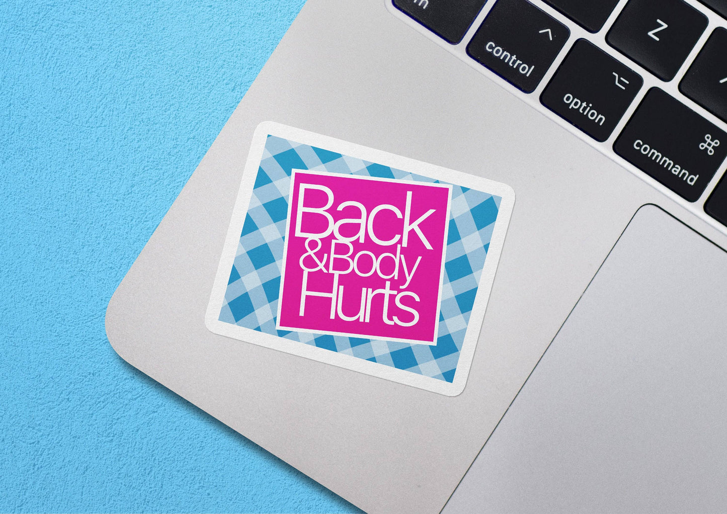 Back And Body Hurts Sticker, Blue And Pink Sticker, Meme Sticker, Waterproof Vinyl Sticker Decal for Car, Laptop, Waterbottle, Hydroflask