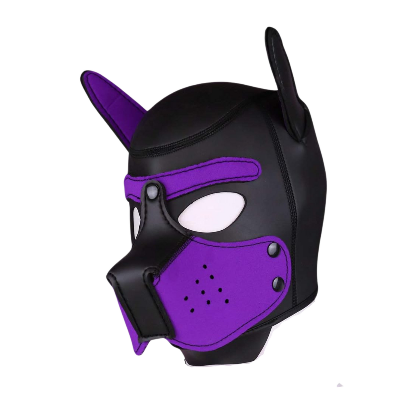 Purple on Black Pup Hood