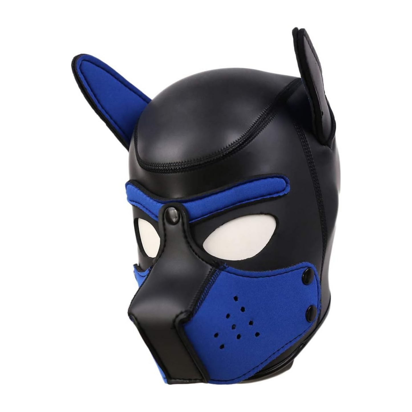 Blue on Black Pup Hood
