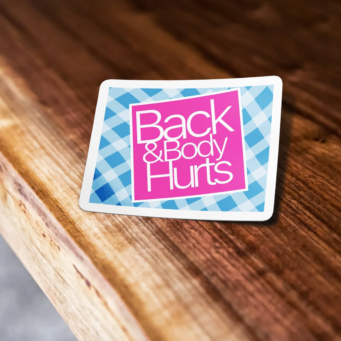 Back And Body Hurts Sticker, Blue And Pink Sticker, Meme Sticker, Waterproof Vinyl Sticker Decal for Car, Laptop, Waterbottle, Hydroflask