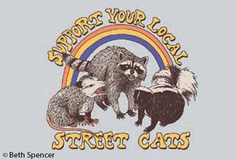 Magnet-Support your local street cats