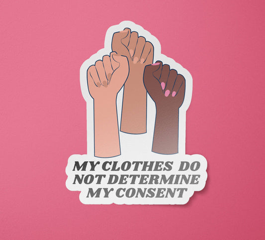 Consent Stickers | Feminist Laptop Decal | Cat Call | Angry Feminist Stickers: Glossy / 3