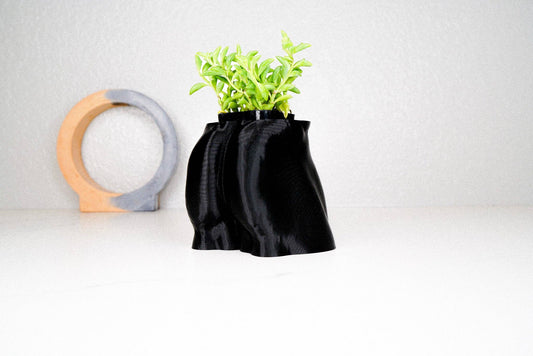 Butt Planter, Male Body Pot, 3d Printed Planter, eco- gifts: Black