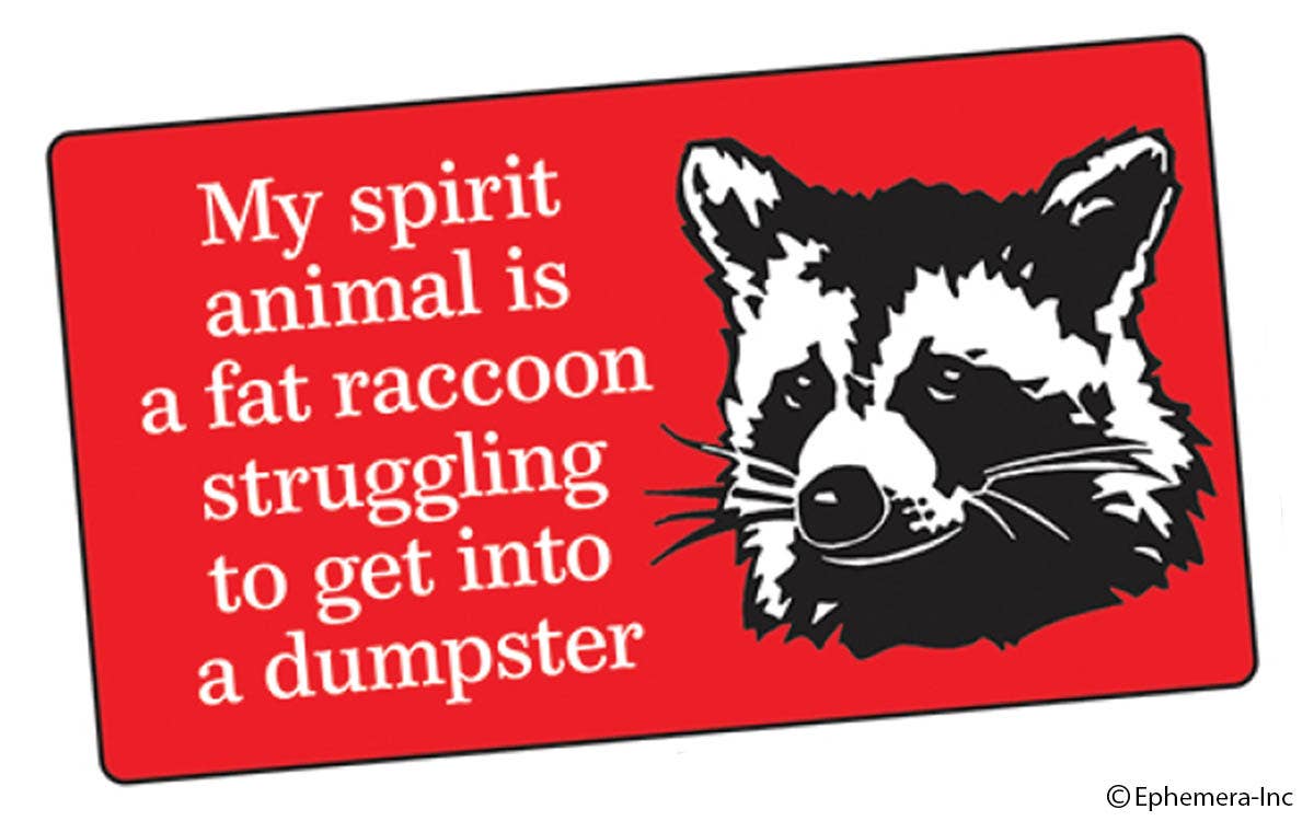 My spirit animal is a fat raccoon struggling