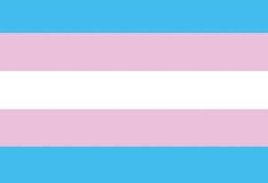 Magnet PRIDE Transgender Flag - QBoutiqueOKC