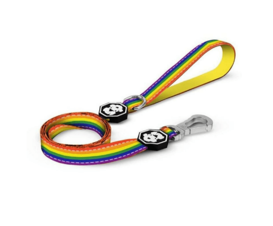 Pride Rainbow Flag | Leash - QBoutiqueOKC