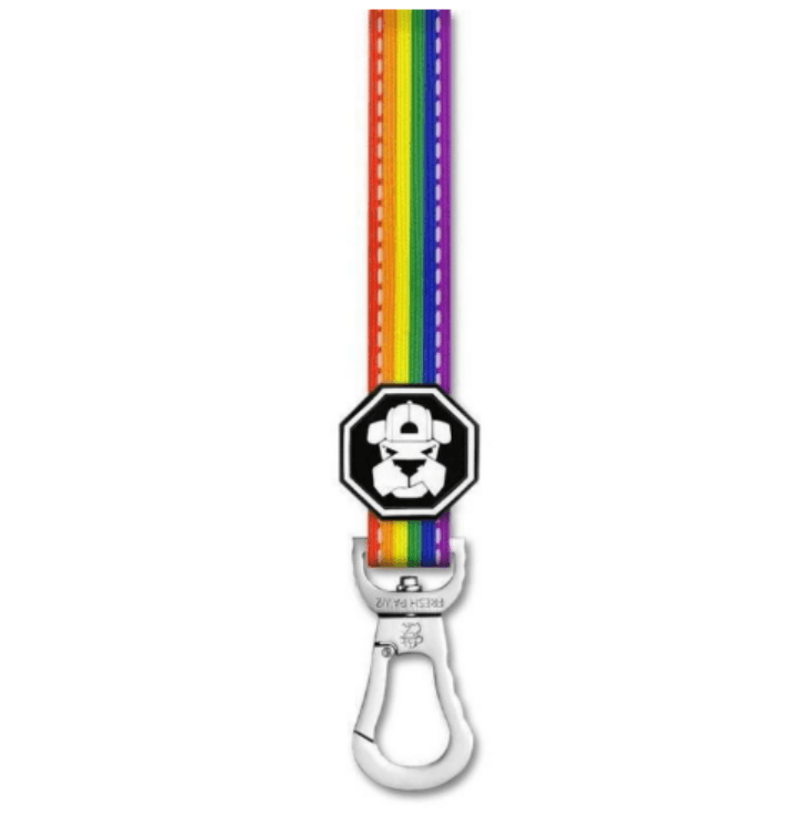 Pride Rainbow Flag | Leash - QBoutiqueOKC